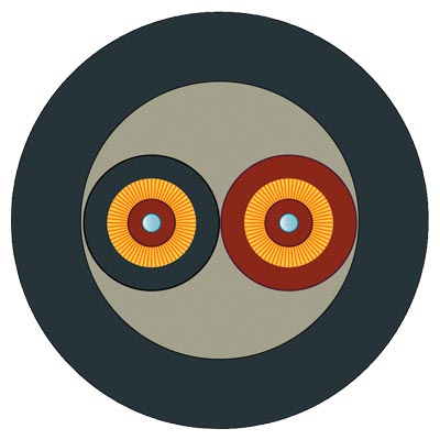 6XV1873-2R - Cáp truyền thông Siemens